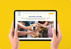 Wag A Meal website design portfolio showcasing responsive food delivery web design