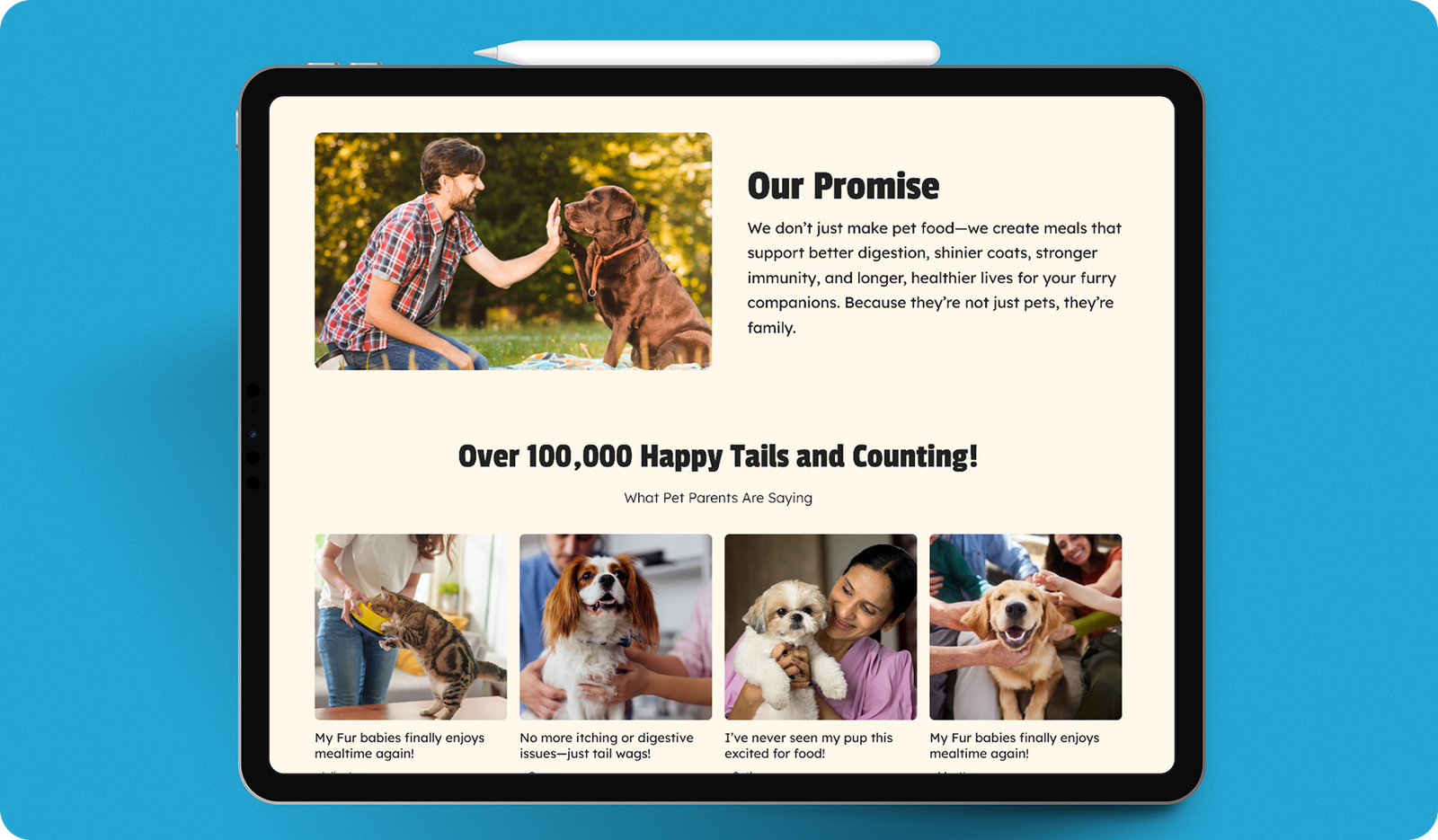 Wag A Meal website design portfolio showcasing responsive food delivery web design