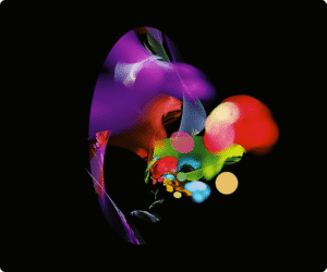 Xefora Tech branding and logo design agency in Pune explaining the psychology behind color in branding for businesses in Narhe, Kharadi, Hinjewadi, Hadapsar, and nearby areas