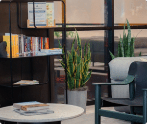 A cozy reading corner with a black metal bookshelf filled with books, two potted snake plants, a round table with magazines, and a green chair beside a glass wall—echoing the inviting atmosphere found in a great creative agency.